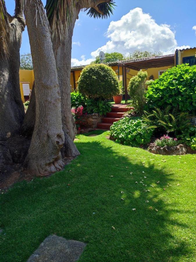 La Chimenea Verde Tacoronte Bagian luar foto